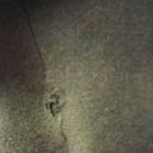 Womens Military Uniform Green Blazer Jacket 14 Vintage US Costume Cavalier - Picture 8 of 8